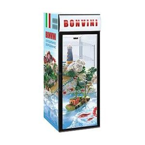 Шкаф холодильный Снеж Bonvini 500 BGС